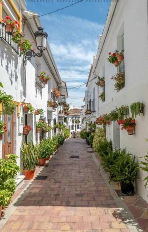 Trebol Apartamentos Benalmadena Arroyo De La Miel Zewnętrze zdjęcie