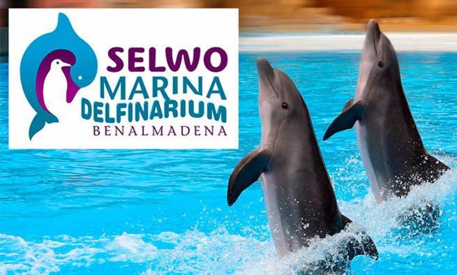 Trebol Apartamentos Benalmadena Arroyo De La Miel Zewnętrze zdjęcie